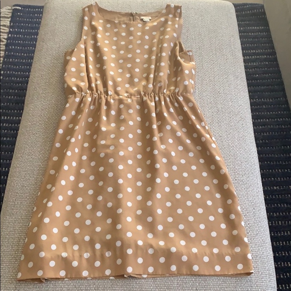 JCrew Size 8 polka dot dress